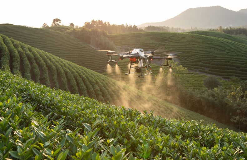 An Unmanned Aerial Vehicle (UAV) fumigating a field