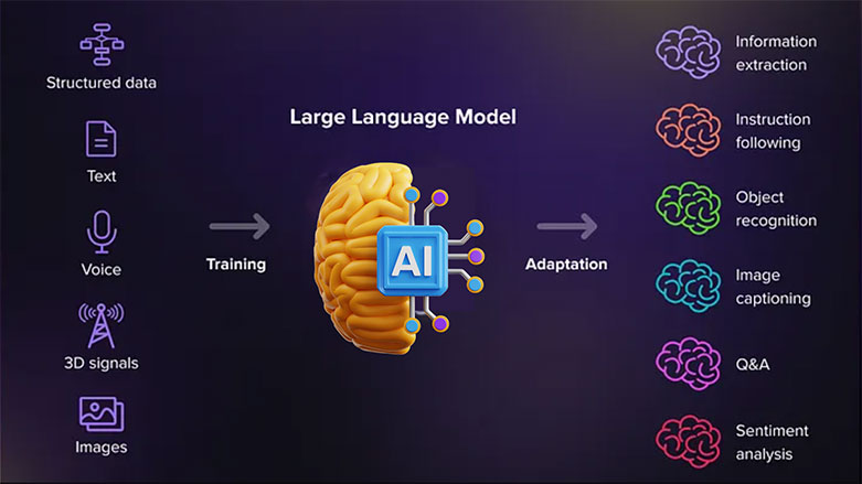 A large language model inputs and outputs