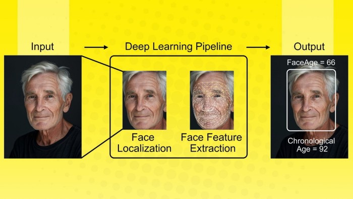 Scientists use AI facial analysis to predict cancer survival outcomes